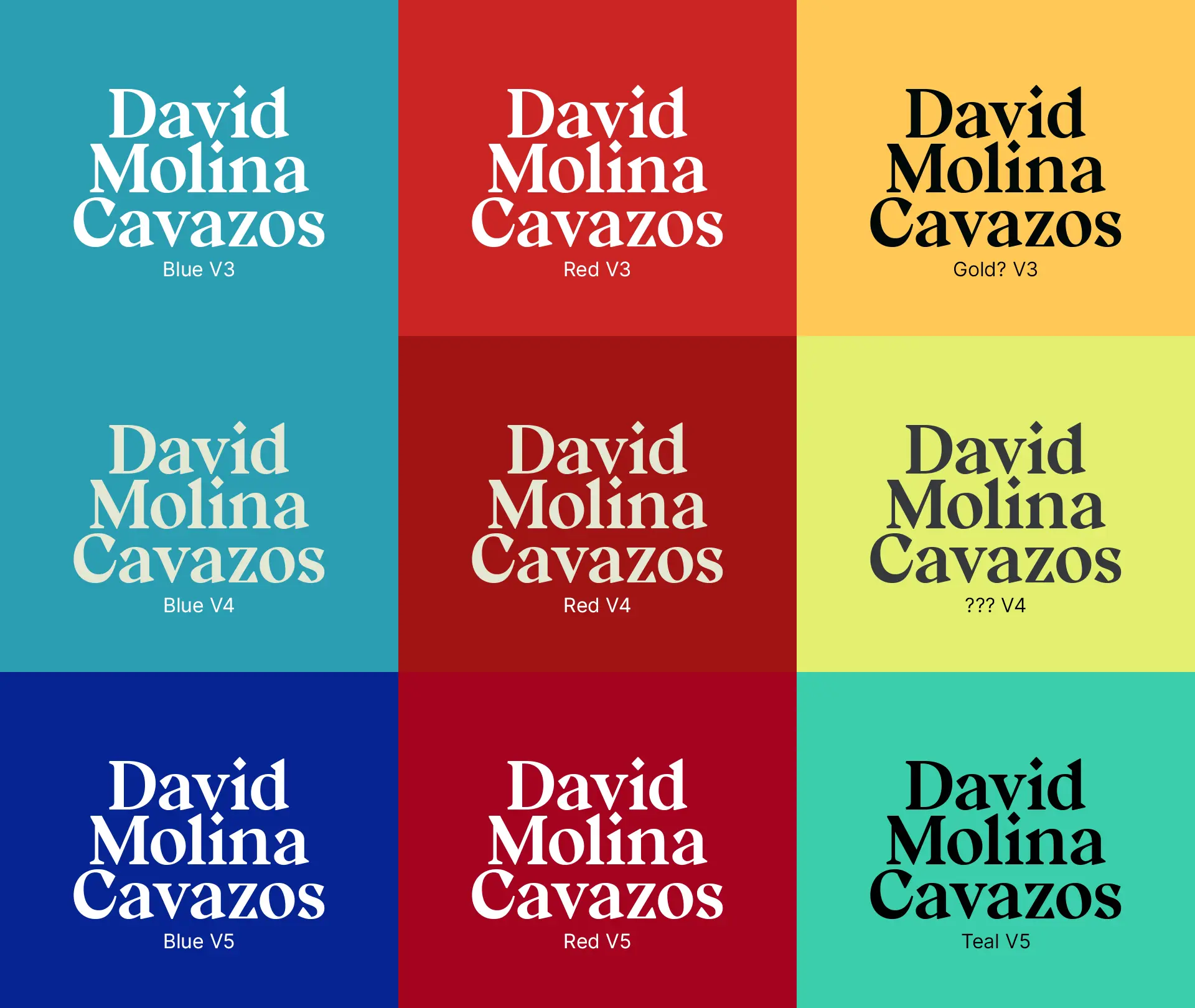 Various renditions of the "David Molina Cavazos" logo with different backgrounds. The backgrounds are a variety of blues, reds, yellows, and a teal.